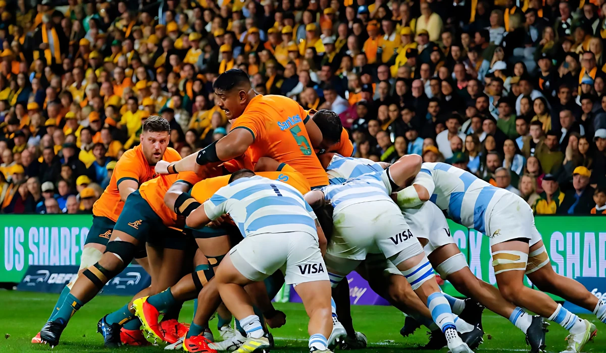 wallabies vs argentina