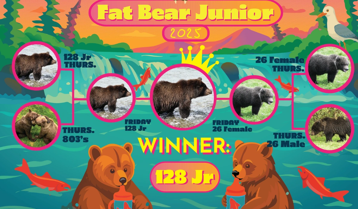 Fat Bear Week 2025 Winner
