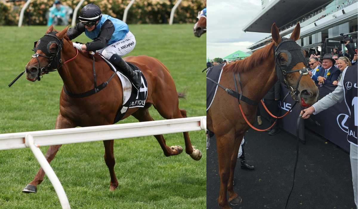 Half Yours 2025 Melbourne Cup Winner
