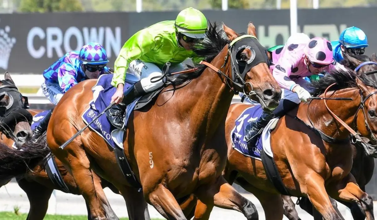 Adelaide Cup Victory