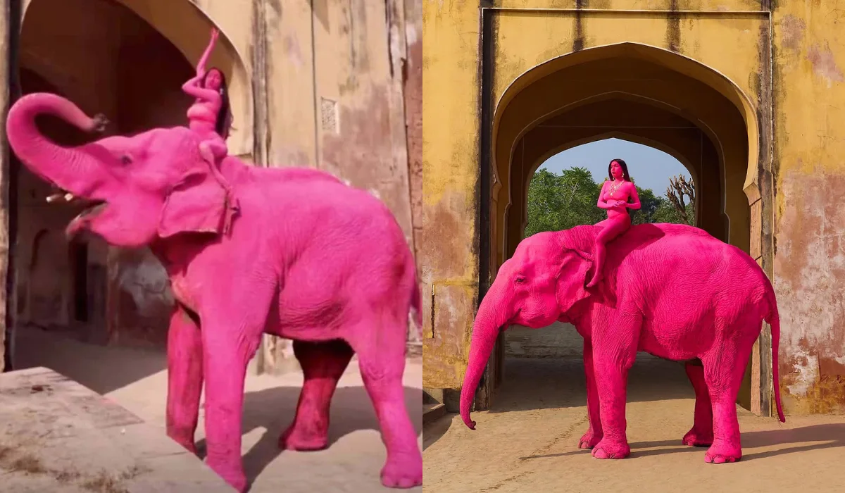 Pink Elephant