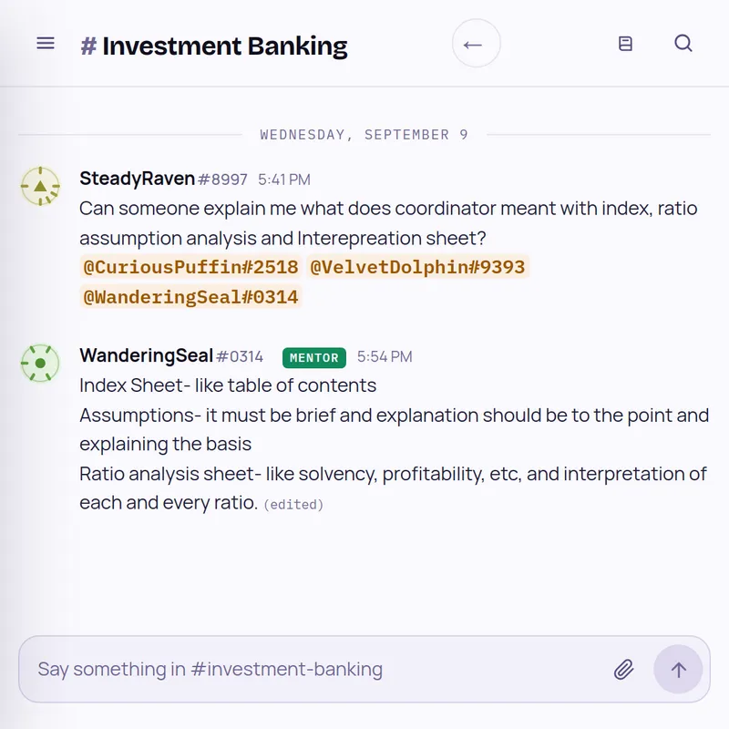 Investment Banking room: a mentor explains the index, assumptions and ratio analysis sheets of a model