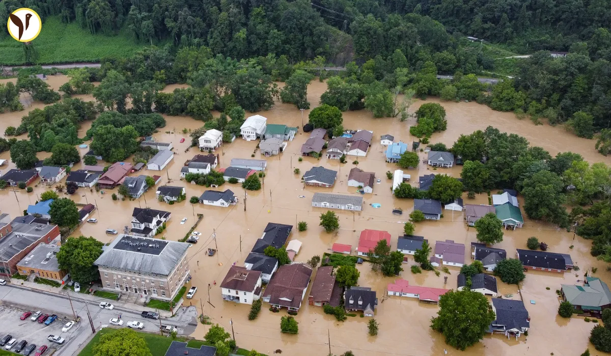 Kentucky Floods: Widespread Devastation and Environmental Concerns