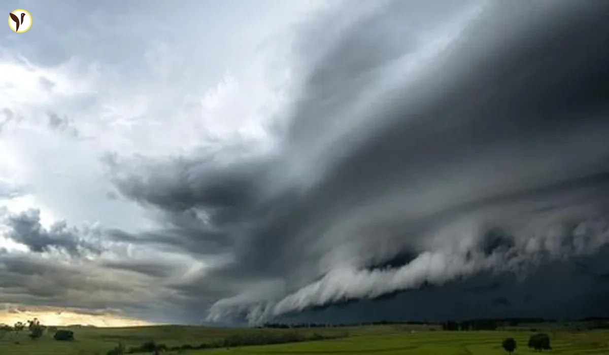 Tempête Olivier : La France se prépare à des intempéries majeures