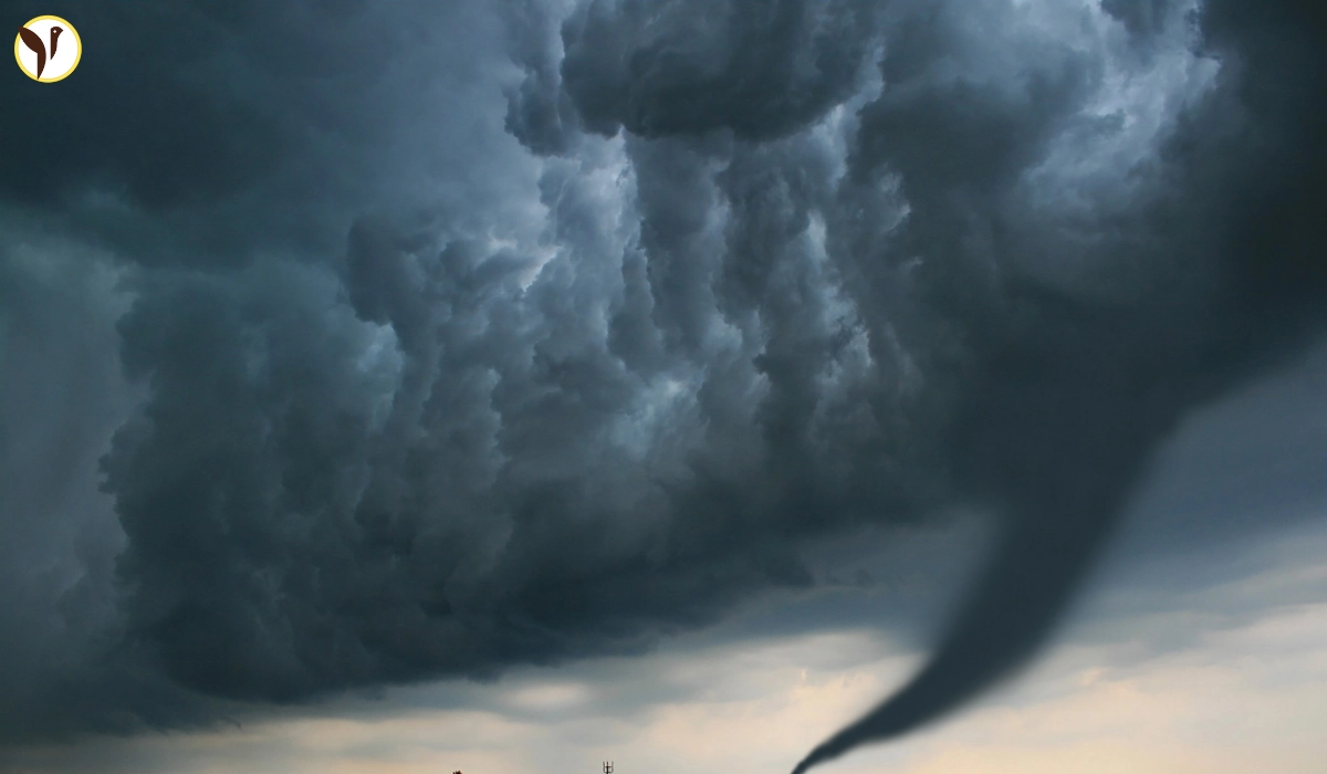 Kentucky Tornado Goes Viral