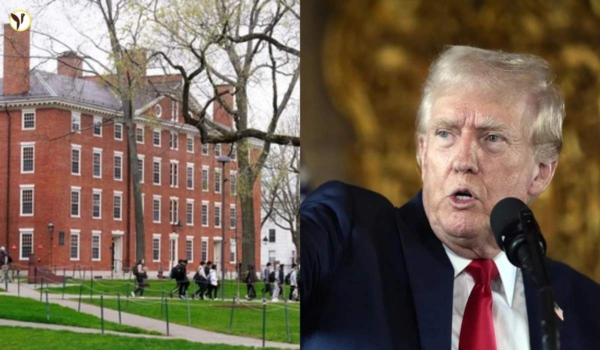 Harvard Sues Trump Admin Over Deportation Threat to Thousands of Students