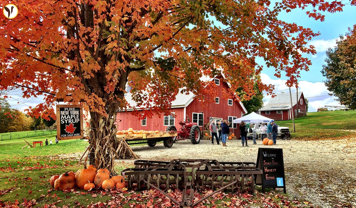 Mid-Hudson Valley events June 30 2025