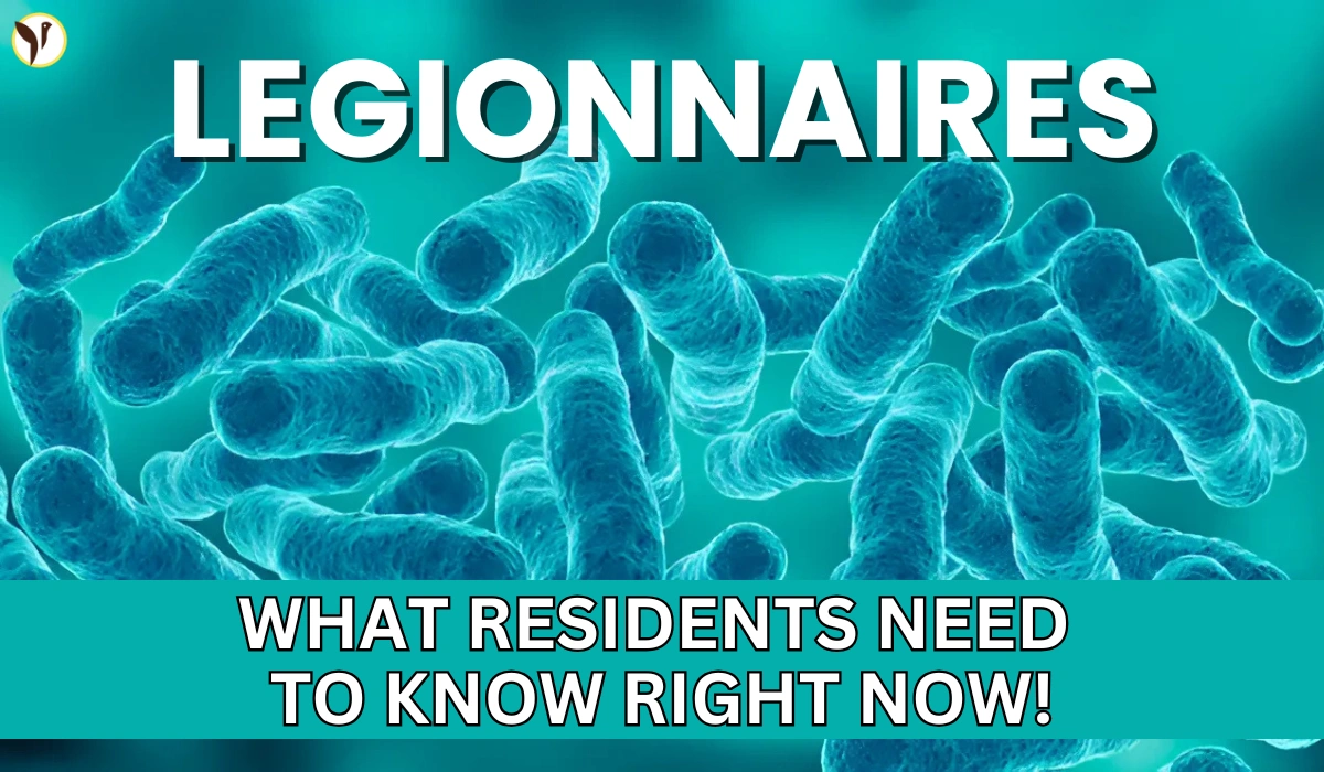 legionnaires disease NYC