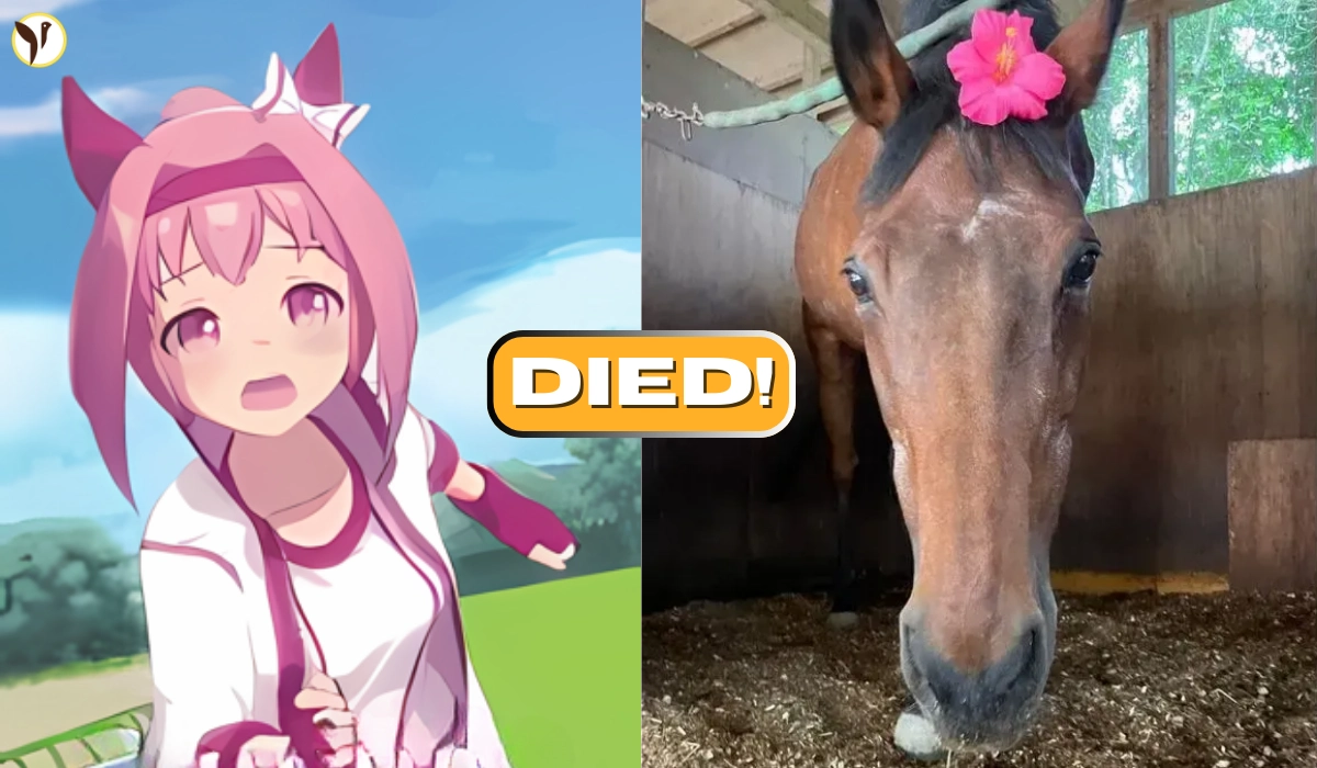 Haru Urara Die