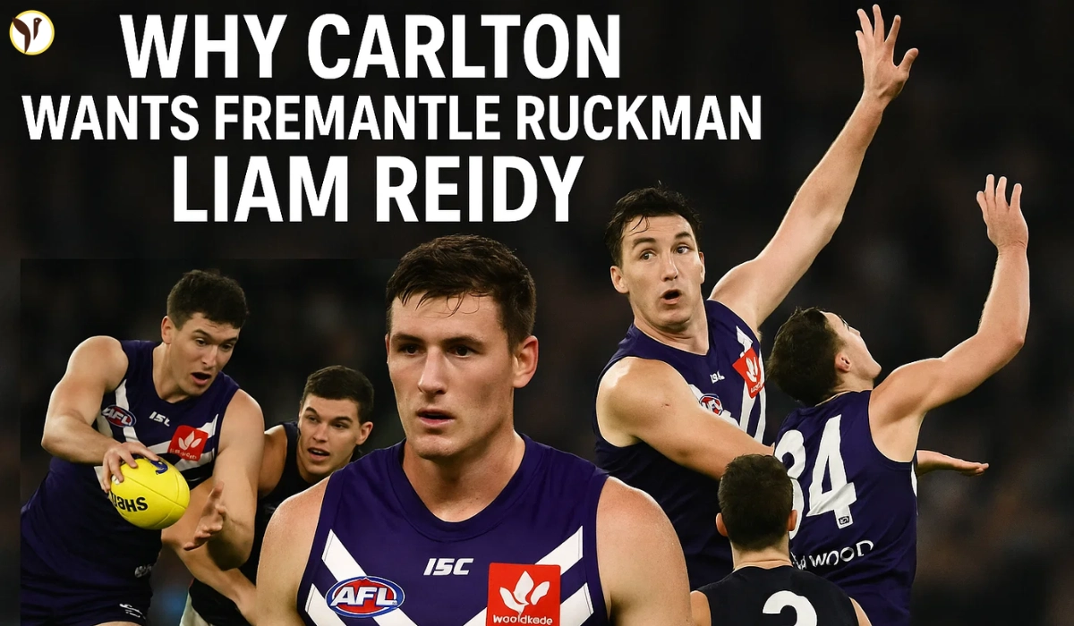 liam reidy