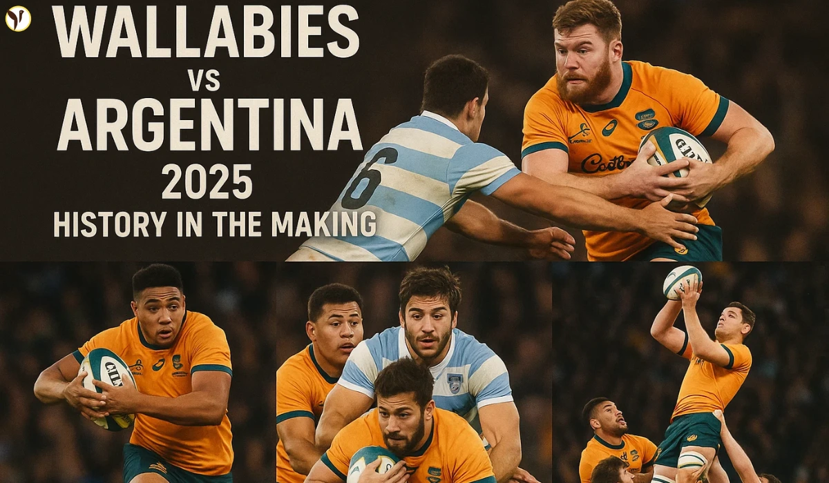 wallabies vs argentina