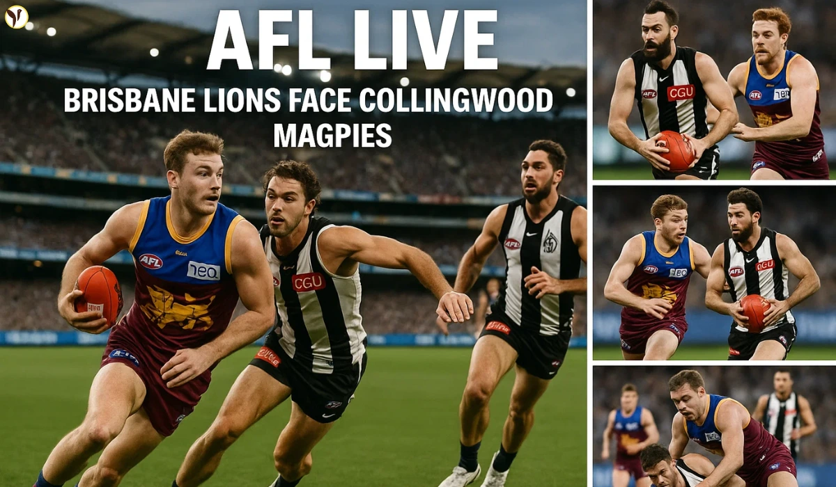 collingwood v brisbane
