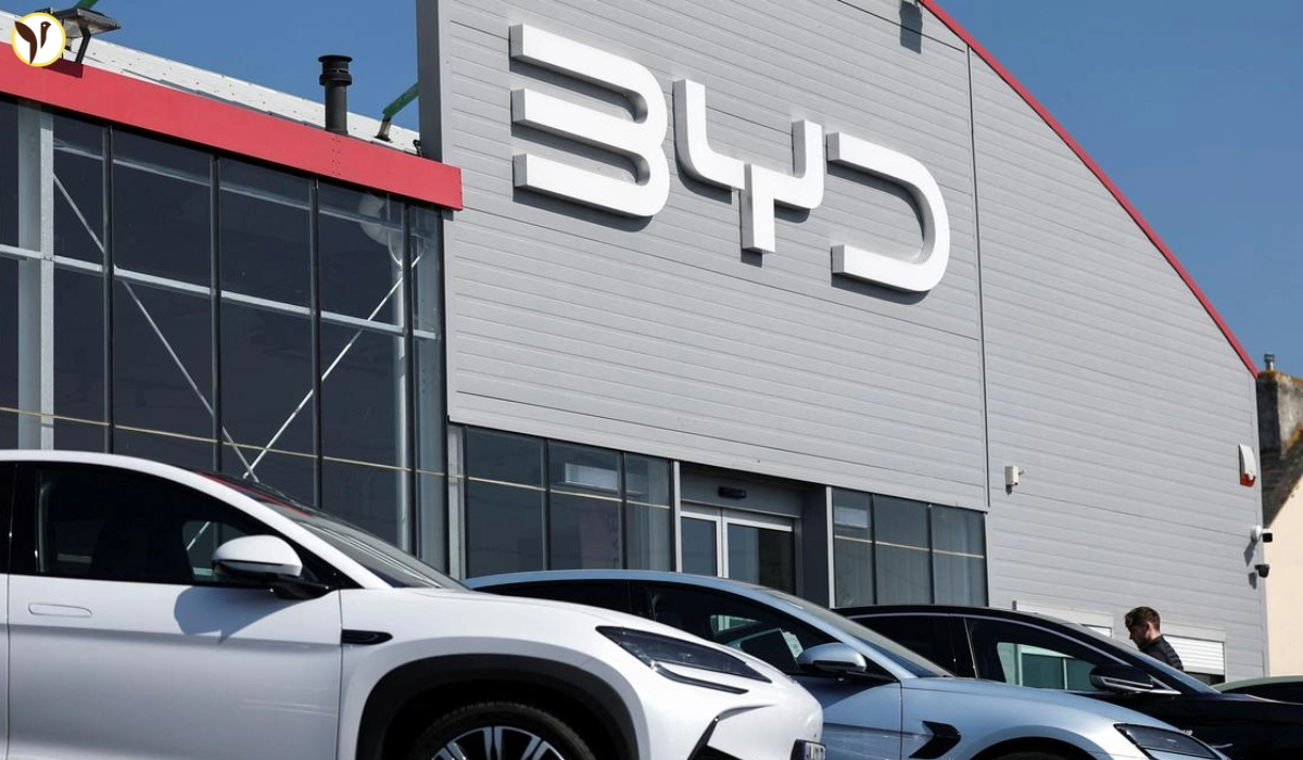 BYD Issues Massive Recall: 115,000 