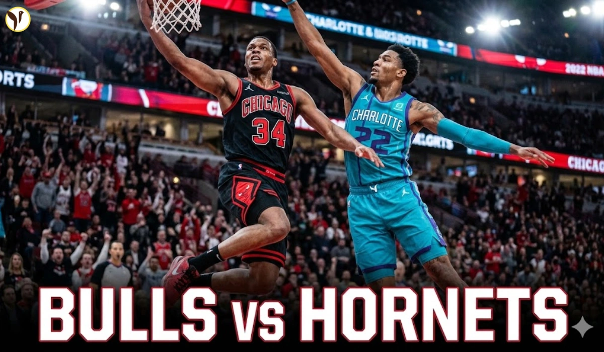 Bulls vs Hornets Recap