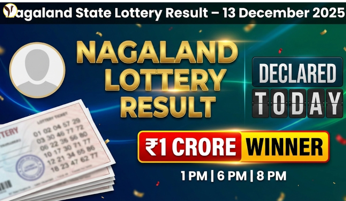 Nagaland State Lottery Result Today 8 PM, 1PM & 6PM 13 December 2025 Saturday
