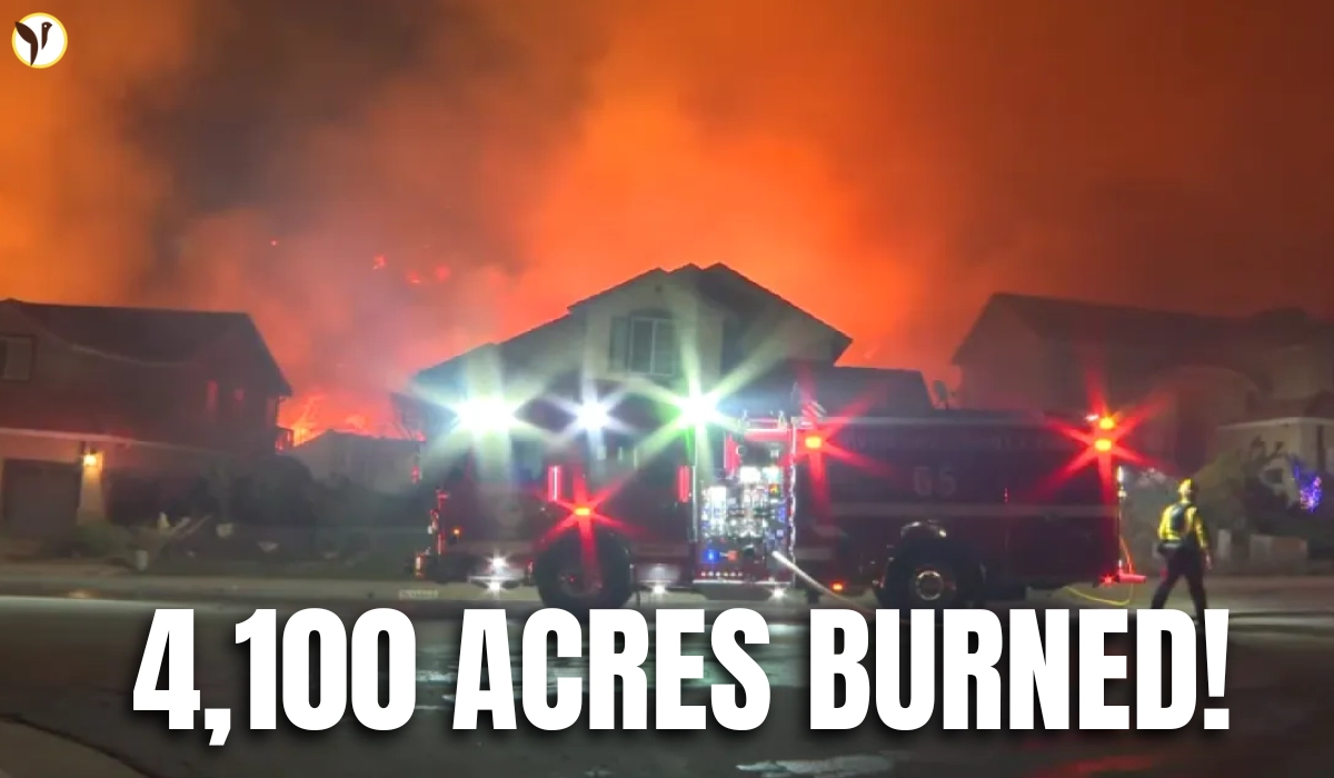 Springs Fire Grows Fast in Moreno Valley, Crews Fight Spread