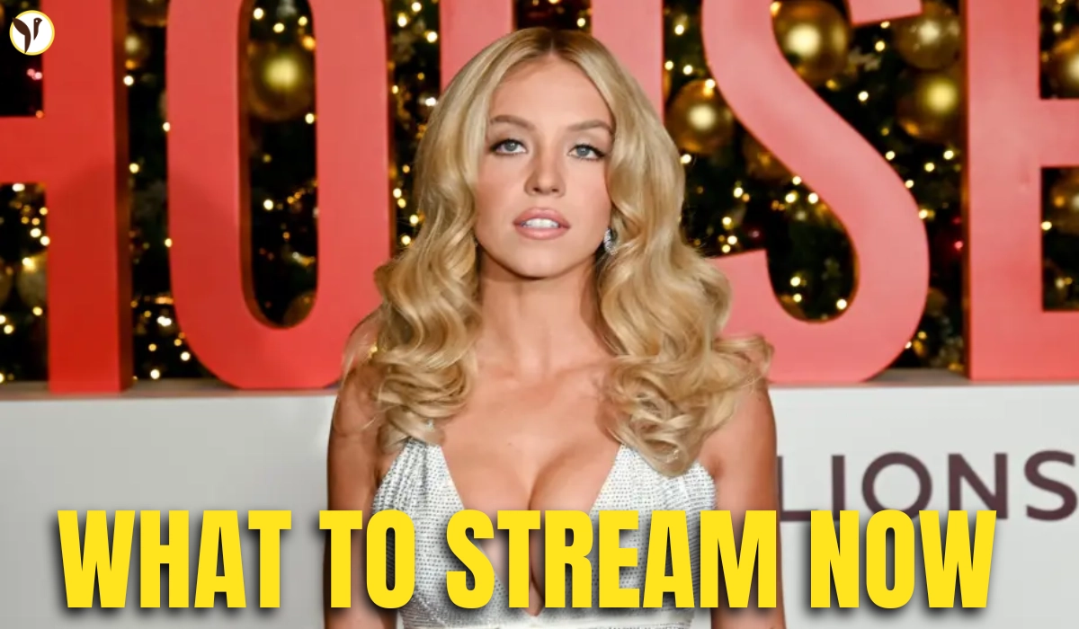 Best Shows to Stream Now: Sydney Sweeney, Jonah Hill Picks