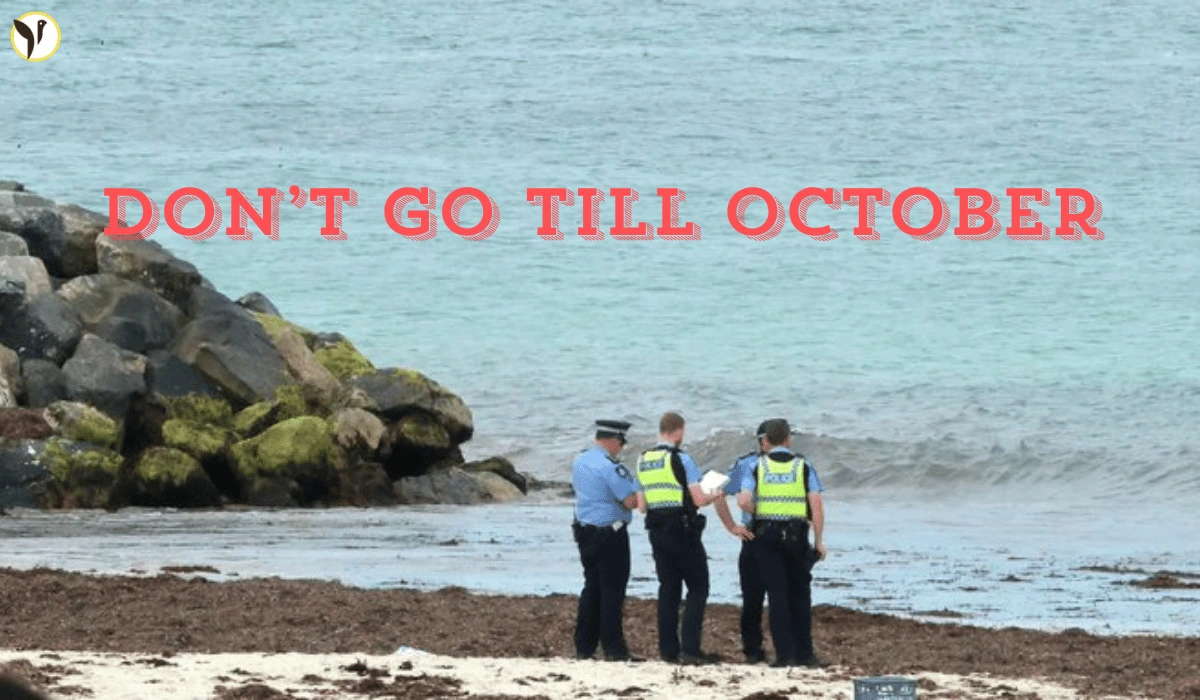 Swimmer Missing At Sorrento Beach